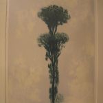 408 2496 LITOGRAPH IN C..